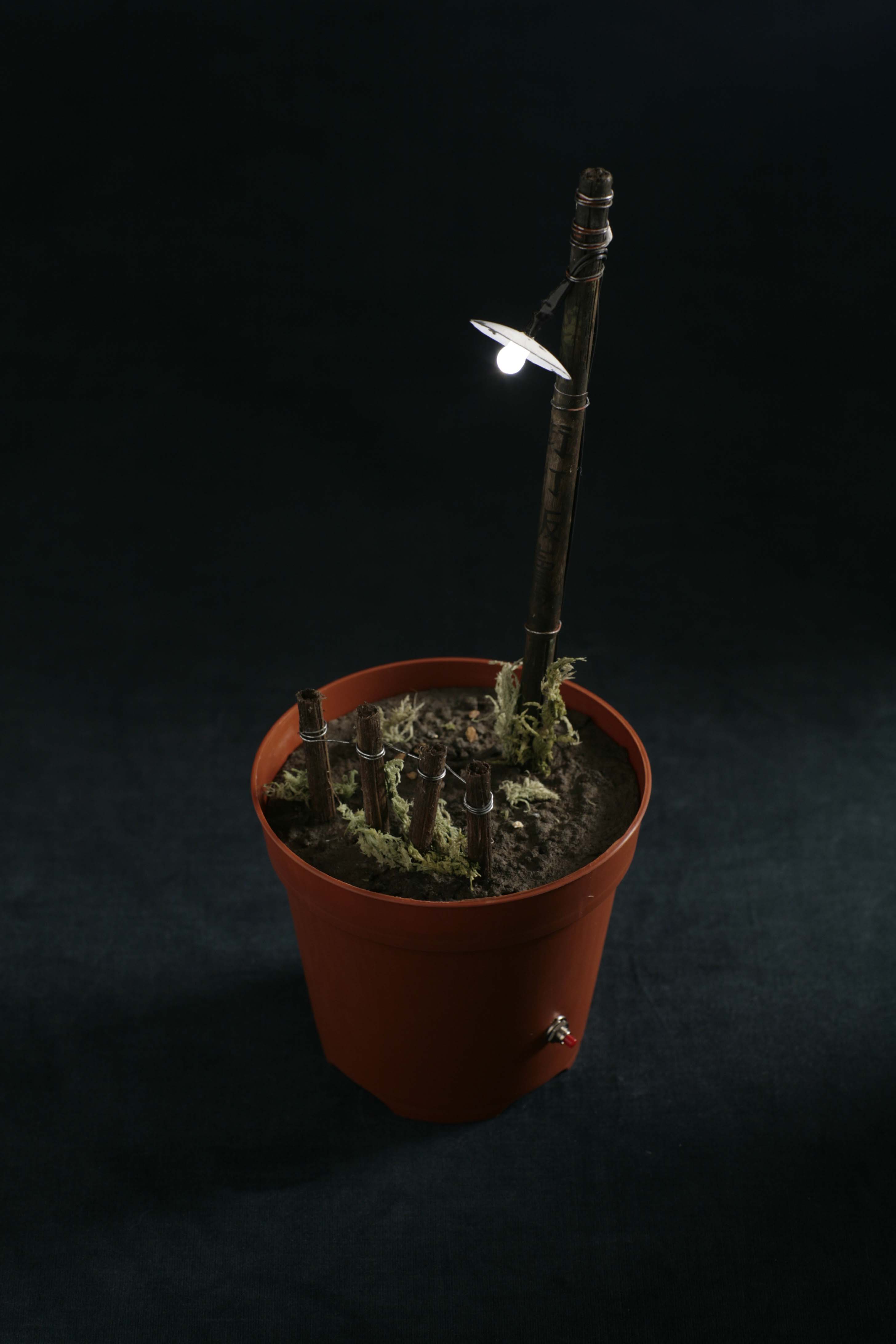 街灯販賣 作品写真